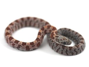 HATCHLING