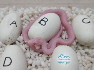 HATCHLING